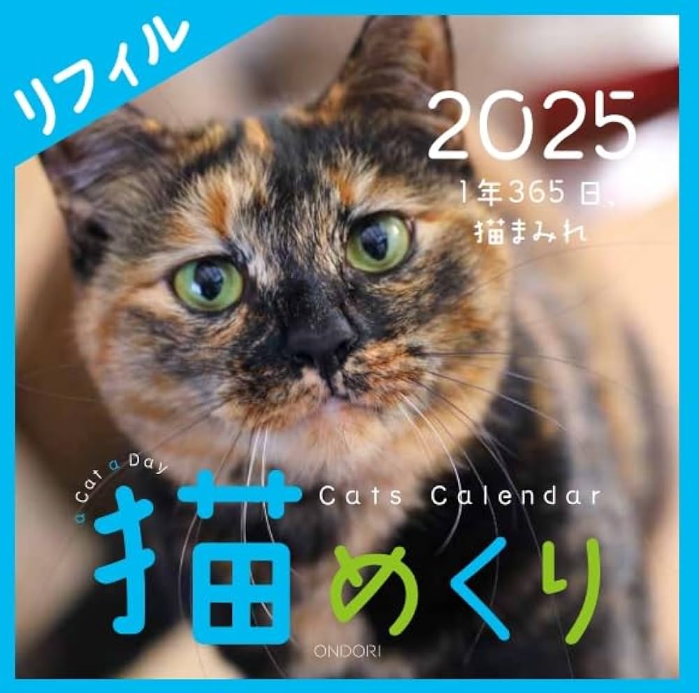 Amazon | 猫めくり 2025年 カレンダー リフィル 日めくり CK-C25-02