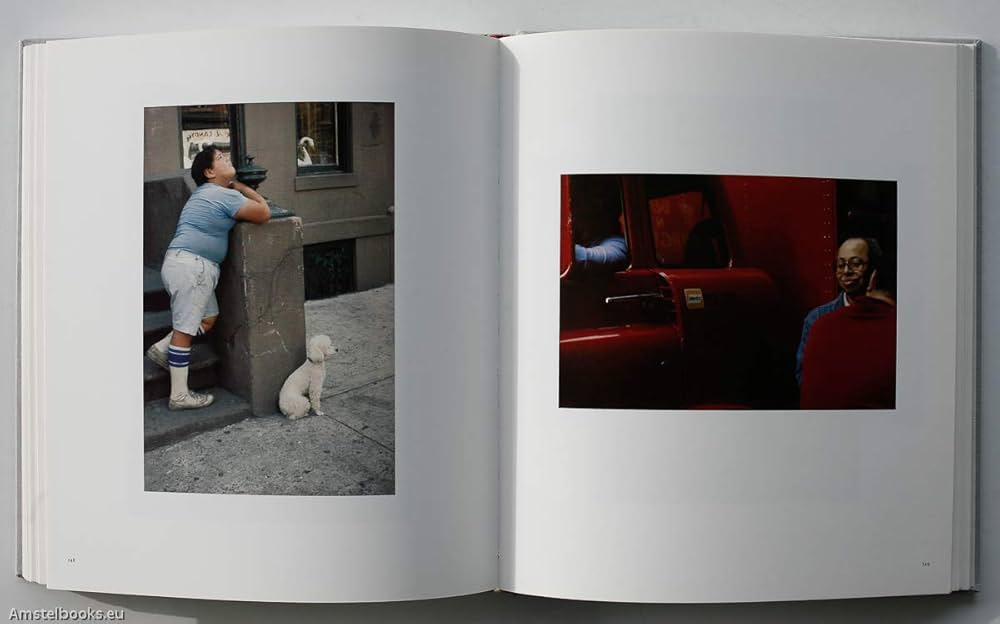 51GasnujSiL._AC_UF1000,