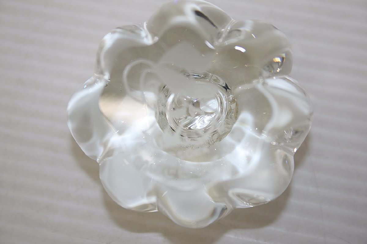 Amazon.co.jp: タクティクスオウガリボーン ガラスのカボチャ 抽選