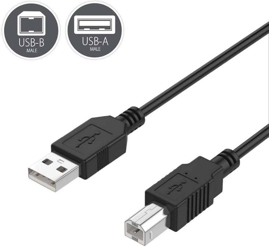 51HtjRLAPTL._AC_UF894,