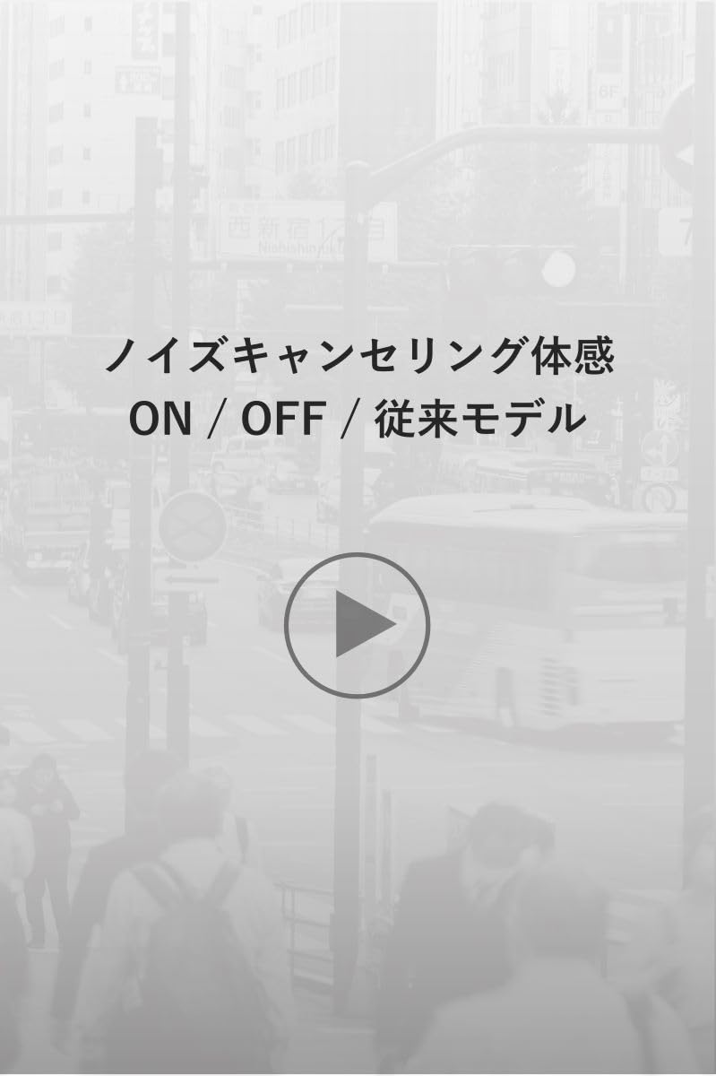 Amazon.co.jp: JVCケンウッド Victor WOOD master ワイヤレスイヤホン