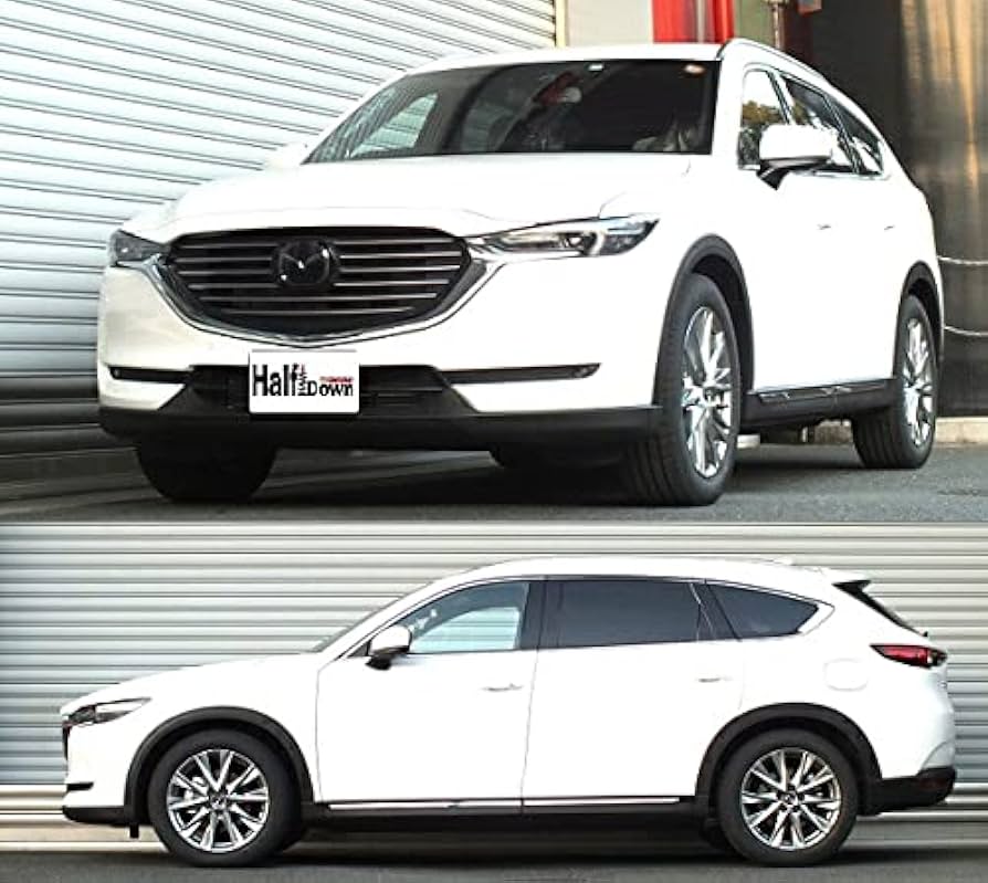 Amazon | RS-R (アールエスアール) ダウンサス【 Ti2000 HALF DOWN