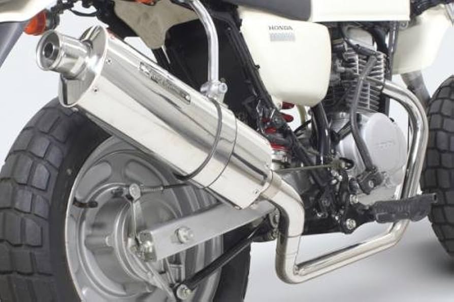 Amazon | スペシャルパーツ武川 (TAKEGAWA) パワーサイレントオーバル