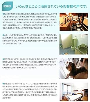 Amazon.co.jp: 消臭王GT-S 液体 無臭 10リットル 嫌な臭いを分解消臭