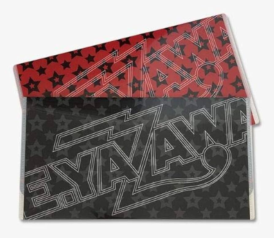 Amazon.co.jp: 矢沢永吉（EIKICHI YAZAWA） 小物ケース(ロゴ) 2枚