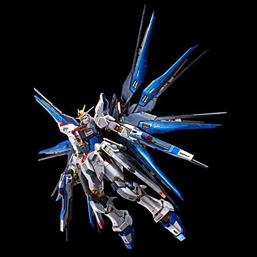Amazon | RG 1/144 ストライクフリーダムガ ンダム［チタニウム