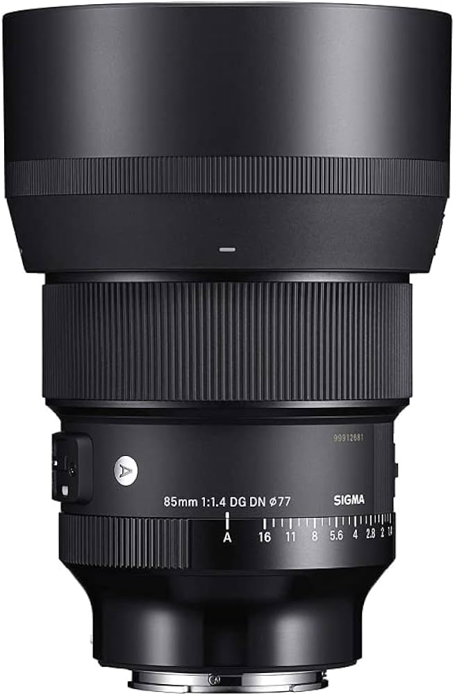 Amazon.co.jp: シグマ SIGMA 85mm F1.4 DG DN Art ソニーEマウント用
