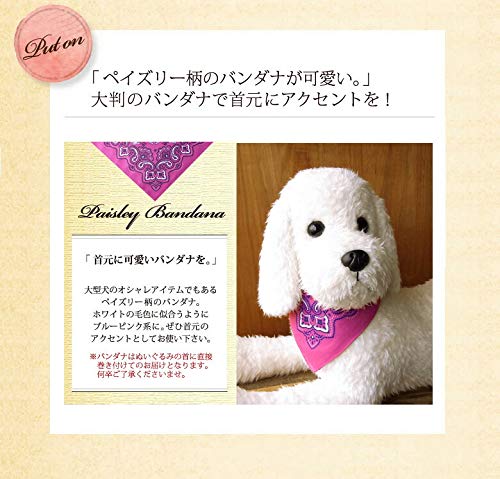 Amazon.co.jp: ニニアンドキノ スタンダードプードル 白 ホワイト