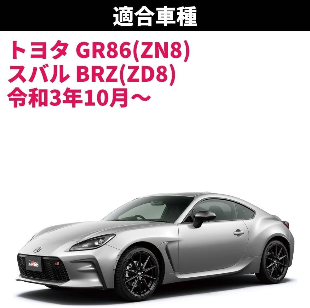 51N1Xa76haL._AC_UF1000,