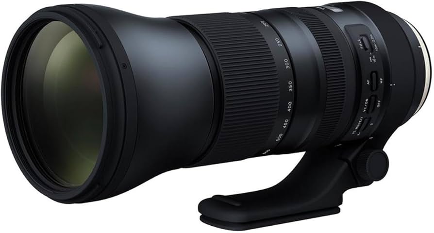 Amazon.com : Tamron SP 150-600mm F/5-6.3 Di VC USD G2 for Canon