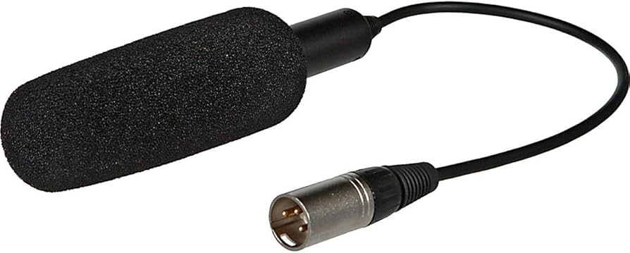 Amazon.com : Panasonic AGMC200G Unidirectional Microphone (Black