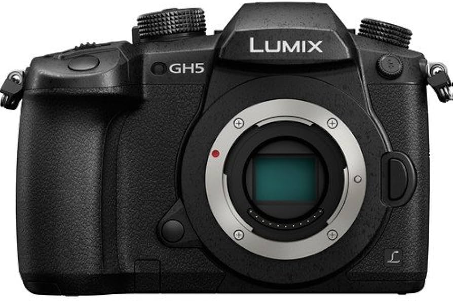 Amazon.com : Panasonic Lumix DC-GH5 Mirrorless Micro Four Thirds