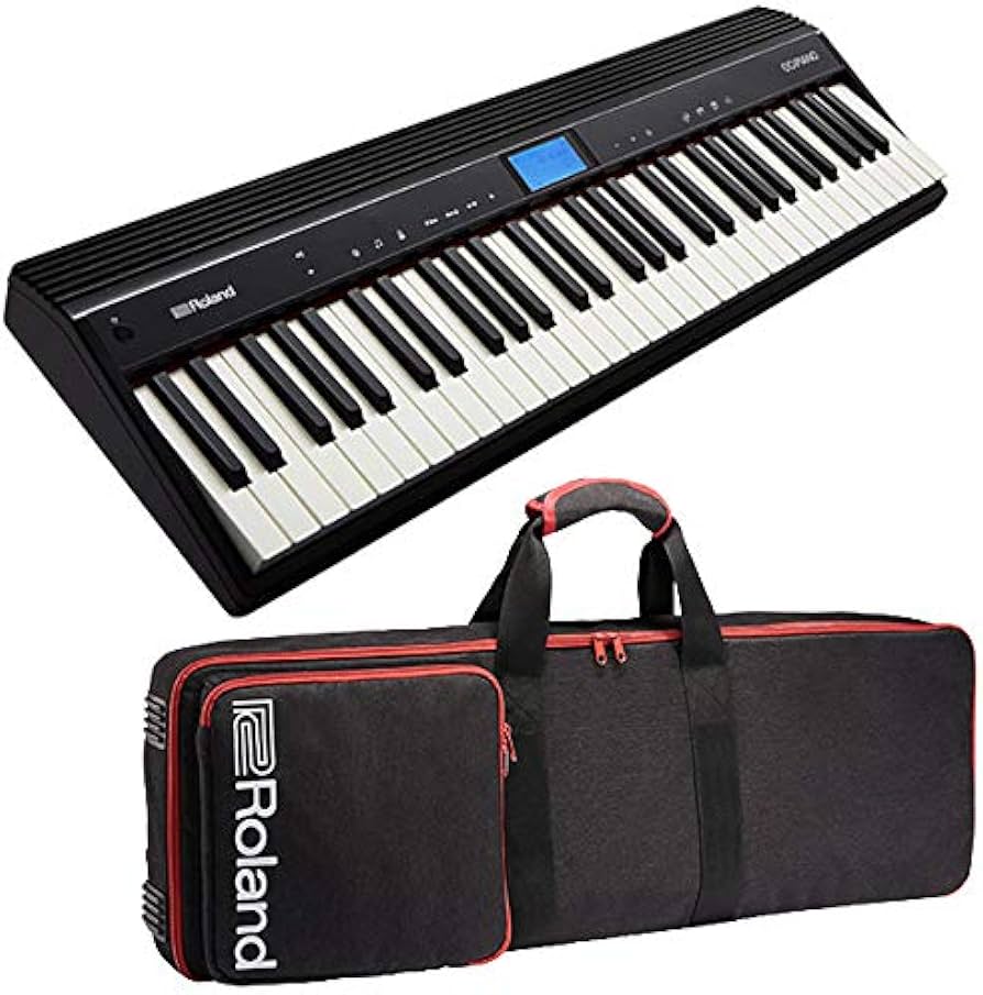 Amazon.co.jp: ROLAND ローランド 61鍵キーボード GO:PIANO GO-61P +