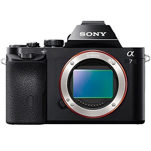 レビュー》おすすめのミラーレスカメラ『SONY α7初代、NEX-6中古