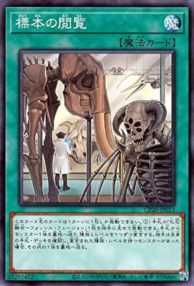 Amazon.co.jp: 遊戯王カード 標本の閲覧(ノーマル) COLLECTION PACK