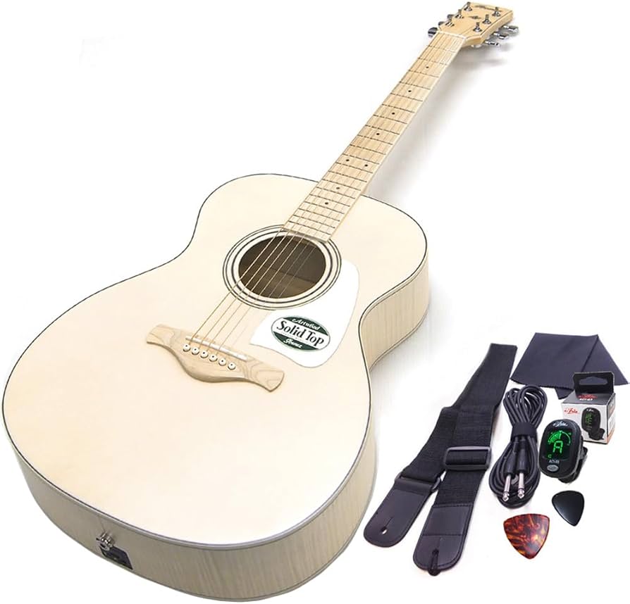 Amazon | アイバニーズ Ibanez AC419E OAW アコースティックギター