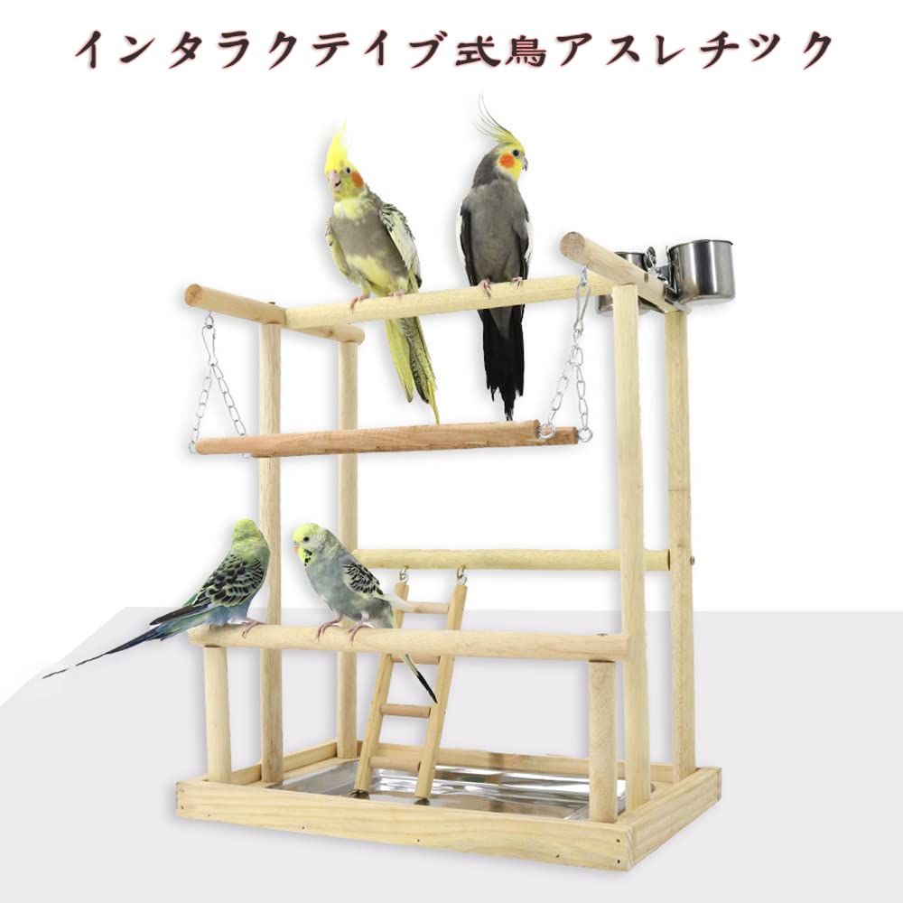 Amazon | 鳥アスレチック バードアスレチック インコ 遊び場 止まり木