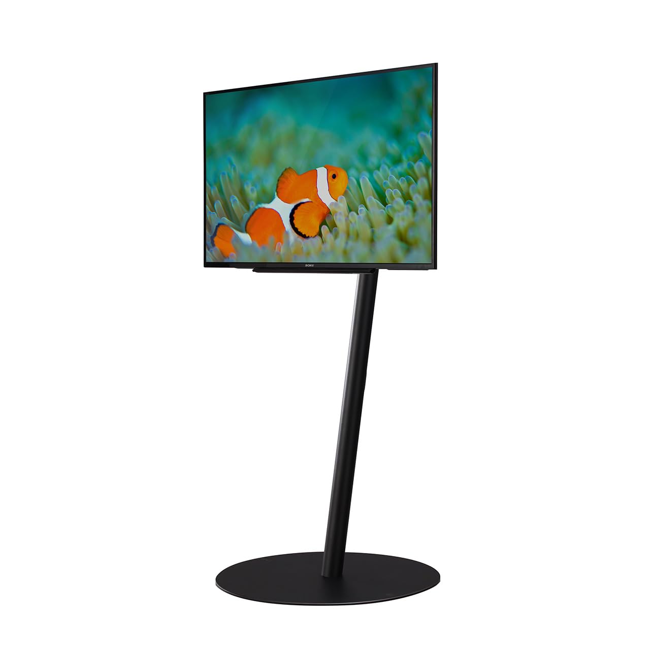 Amazon.co.jp: WALL【 グッドデザイン賞受賞 】A2 FLAT BASE テレビ