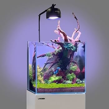 Amazon | LANDEN レッド溶岩石 アクアスケープ テラリウム