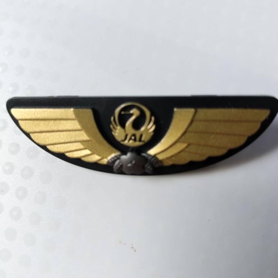 Amazon.co.jp: 貴重 JAL パイロットのウイングバッジ : 文房具