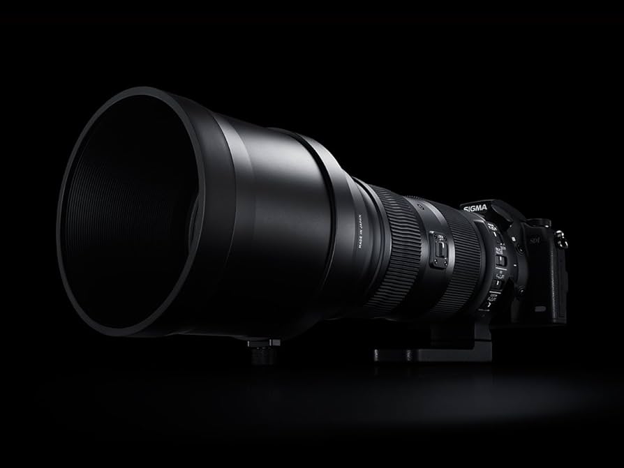 Amazon.com : Sigma 150-600mm 5-6.3 Sports DG OS HSM Lens for Canon
