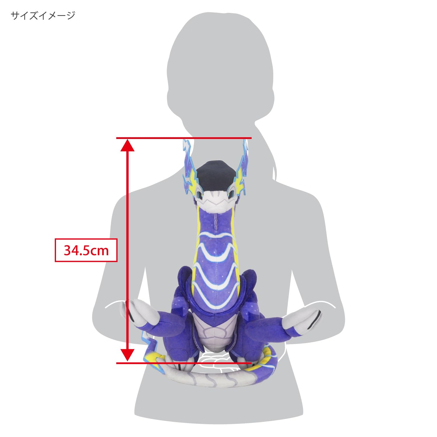 Amazon.co.jp: 三英貿易 ポケットモンスター ALL STAR COLLECTION