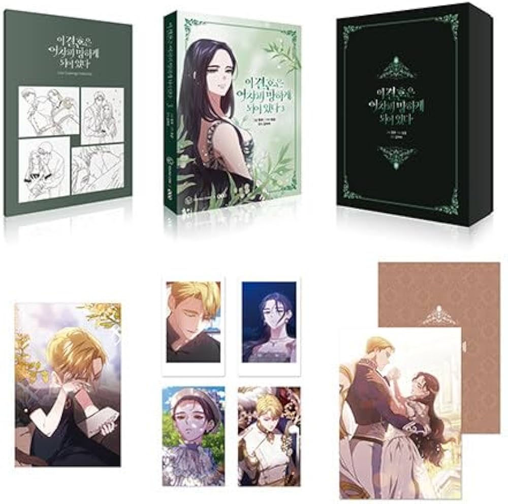 韓国マンガ この結婚はどうせうまくいかない 3 限定版セット [並行輸入