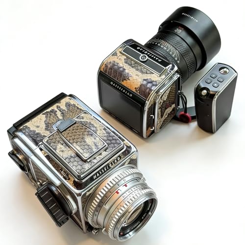 hasselblad 500c/m」の人気商品一覧 | 安い商品を通販サイトから探す