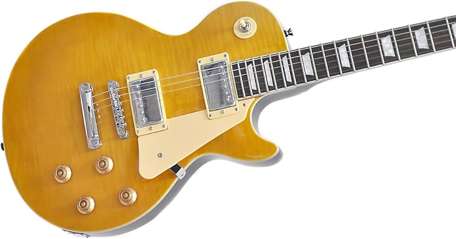 Amazon | PLAYTECH (プレイテック) エレキギター レスポールタイプ 2