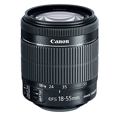 Amazon.com : Canon EF-S 18-55mm f/3.5-5.6 is STM Camera Lens