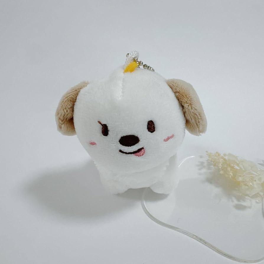 Amazon.co.jp: RIIZE アントン ANTON ぬいぐるみ キーホルダー : おもちゃ