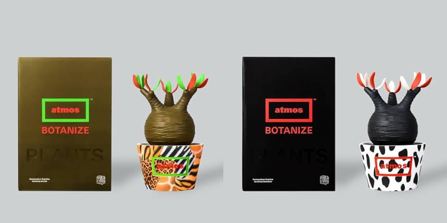 Amazon | BOTANIZE 塊根植物 ソフビ 2体 Pachypodium Gracilius