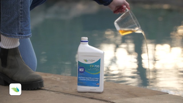 Amazon.com : Orenda CV-700-QT. Enzyme Water Cleaner & Phosphate