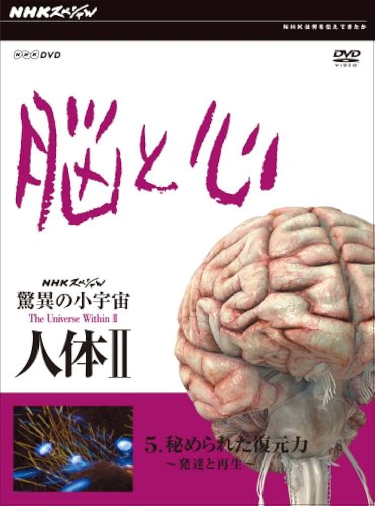 Amazon.co.jp: NHKスペシャル 驚異の小宇宙 人体II 脳と心 第5集 秘め