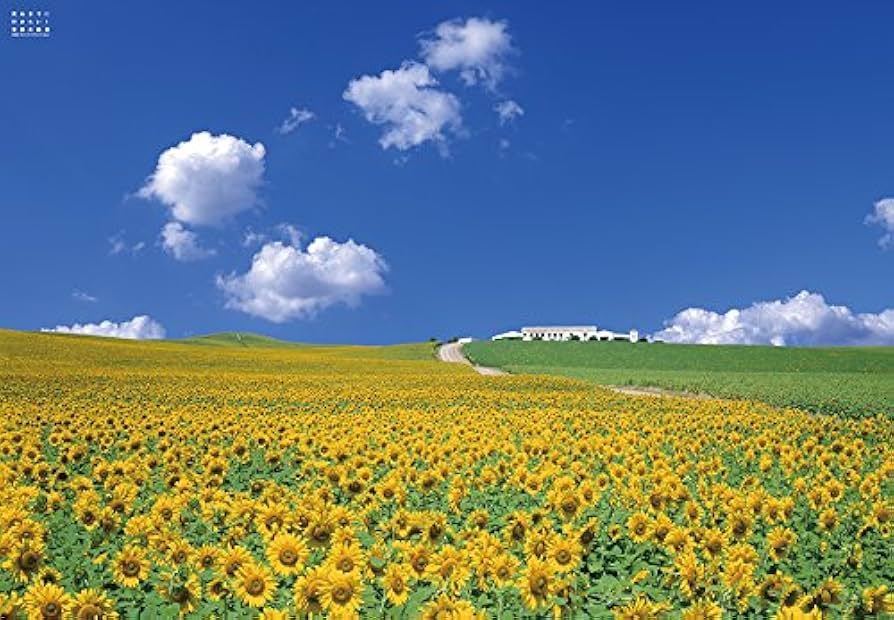 Amazon.co.jp: エンスカイ(ENSKY) 1000ピース ジグソーパズル 死ぬまで