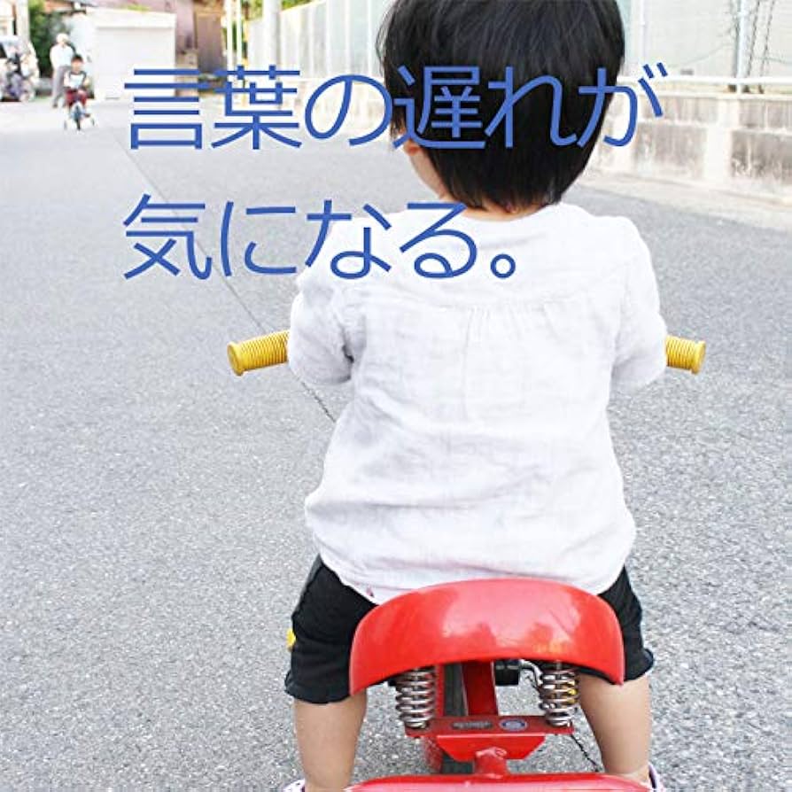 Amazon.co.jp: 言語訓練 ST 全28巻|発達障害 自閉症 絵カード DVD 教材