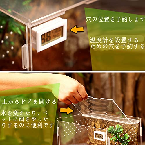 温室・飼育ケース Until 楽天市場】セット温 : 小動物専門店ヘヴン