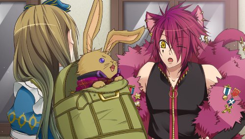 Amazon.co.jp: ハートの国のアリス ~Wonderful Twin World~ (通常版