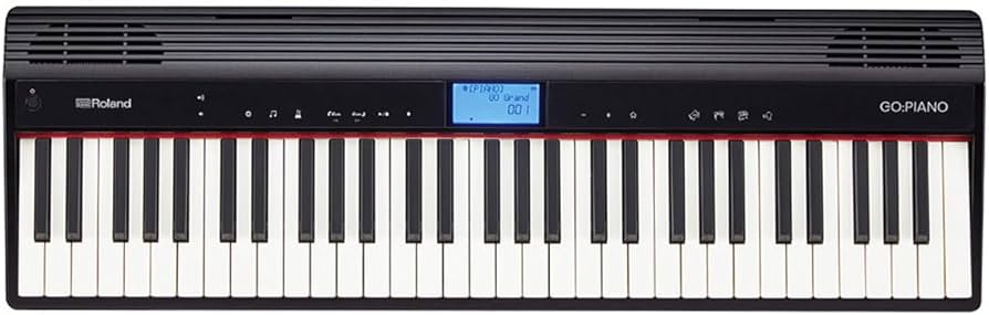 Amazon.com: Roland GO:PIANO 61-Key Portable Digital Piano Keyboard