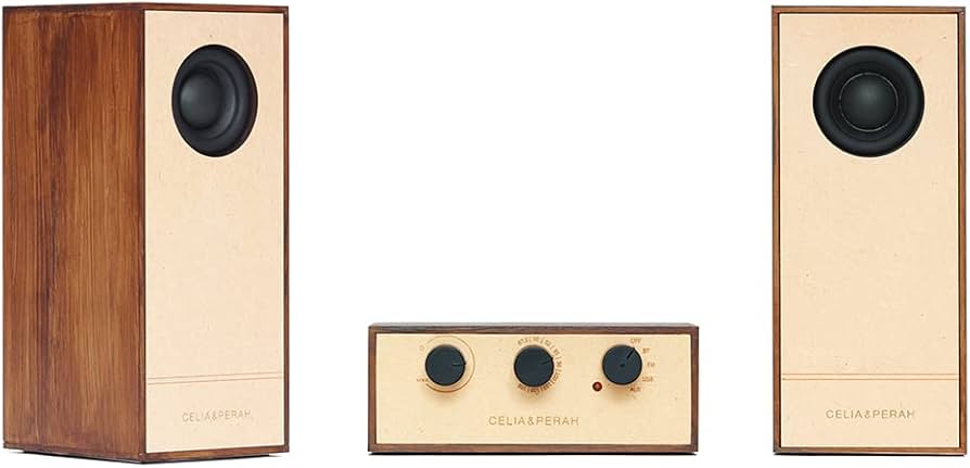 Amazon.co.jp: R4（アール4） DIYオーディオシステム DIY Audio System