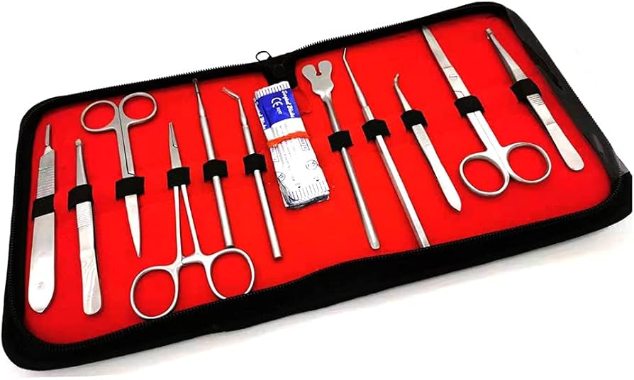 Amazon.co.jp: 22個の完全な解剖セット、生物学研究所の解剖学解剖