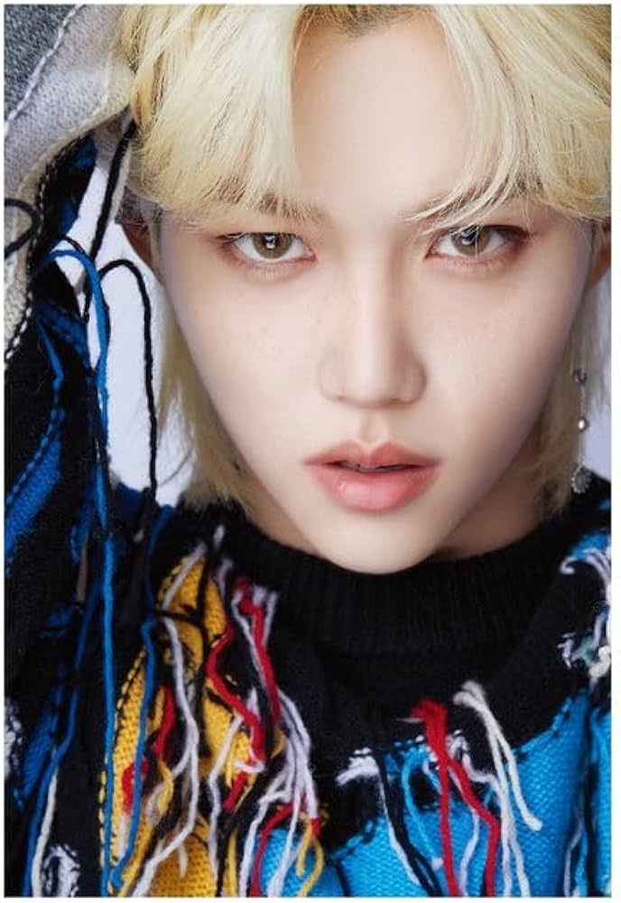 Amazon.com - DICON D'FESTA Photobook Album STRAY KIDS FELIX Version