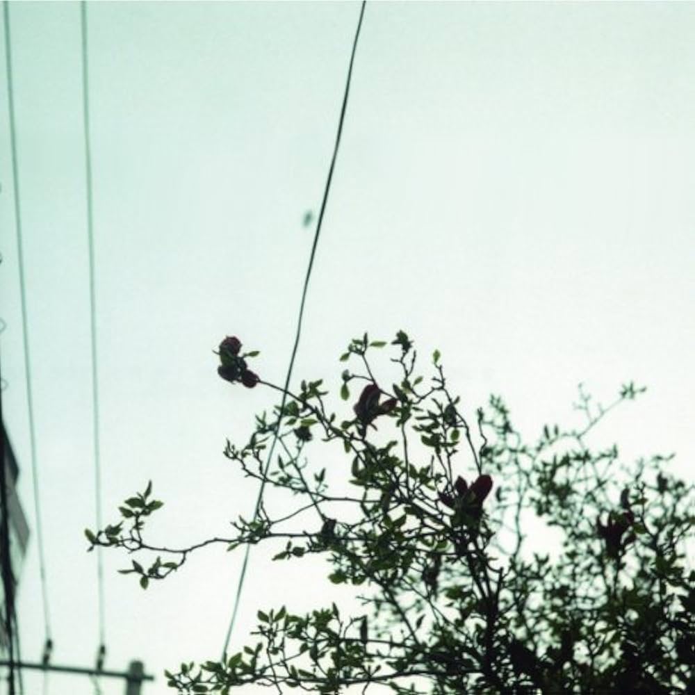 Amazon.co.jp: 待ちくたびれて朝がくる - クリープハイプ: ミュージック