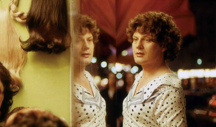 Amazon.co.jp: 13回の新月のある年に ライナー・ヴェルナー