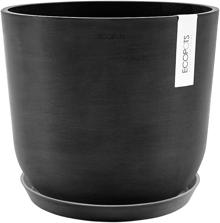 Amazon.co.jp: ECOPOTS Oslo エコポッツ AND PLANTS アンドプランツ (1