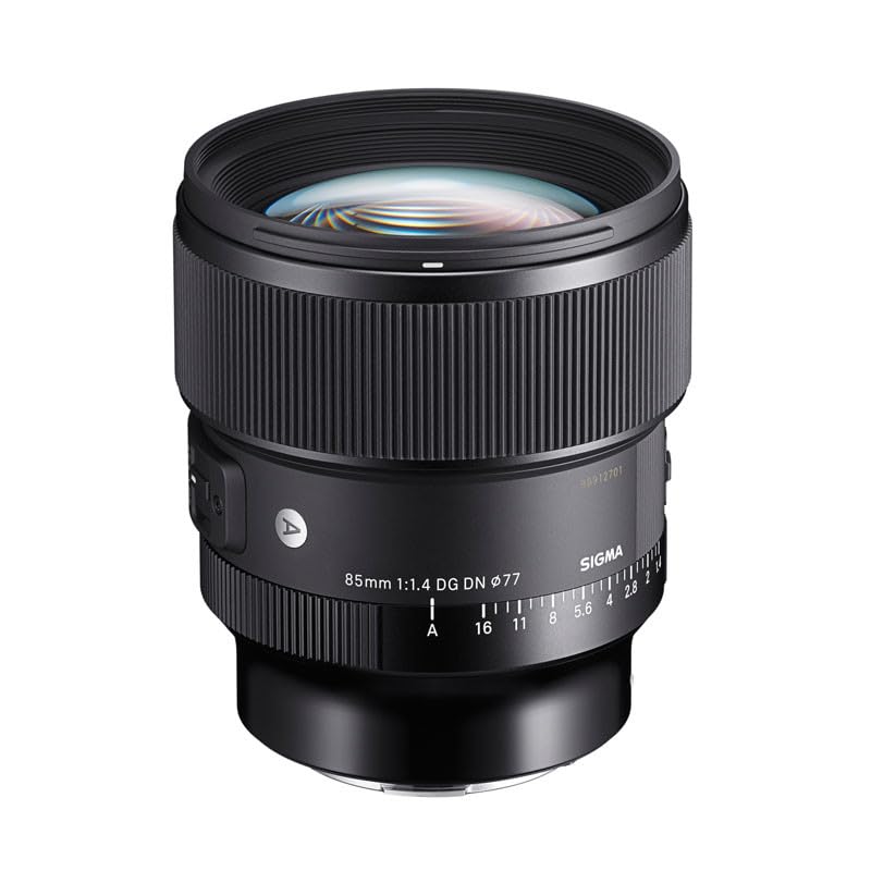 Amazon.com : Sigma 85mm F1.4 DG DN, for L-Mount : Electronics