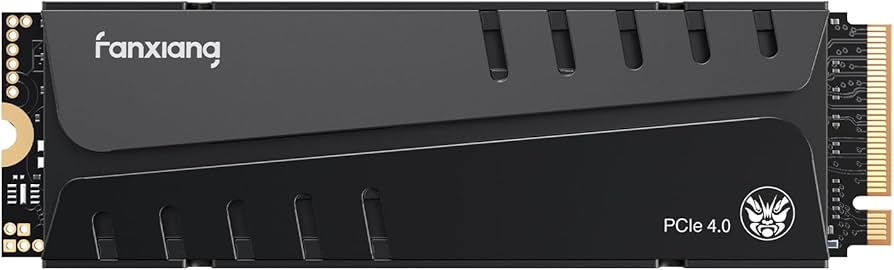 Amazon.com: fanxiang S770 4TB NVMe M.2 SSD for PS5 - with Heatsink