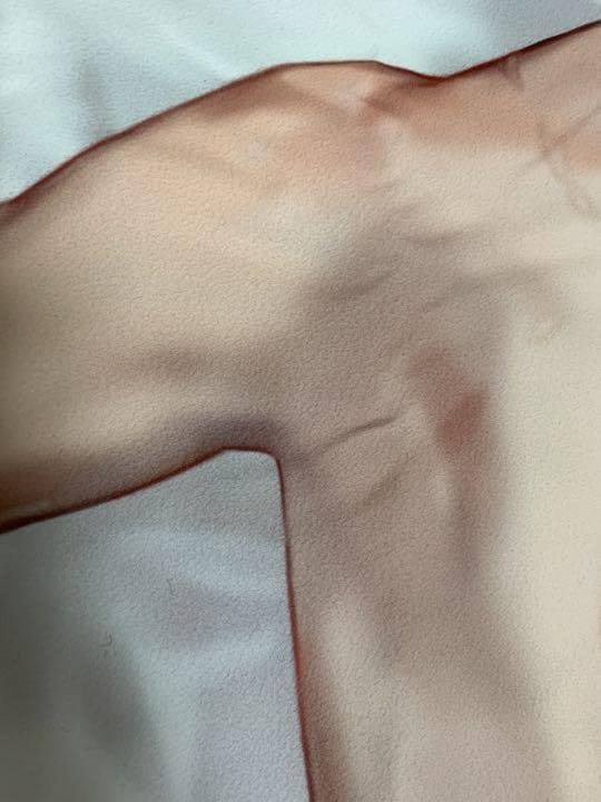 Amazon | 囚われのパルマ Refrain チアキ 腕枕 等身大抱き枕カバー