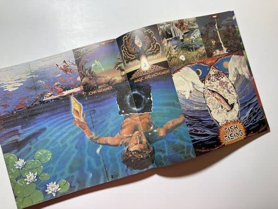 Amazon.co.jp: 横尾忠則 天地創造計画 レコードジャケットによる瞑想