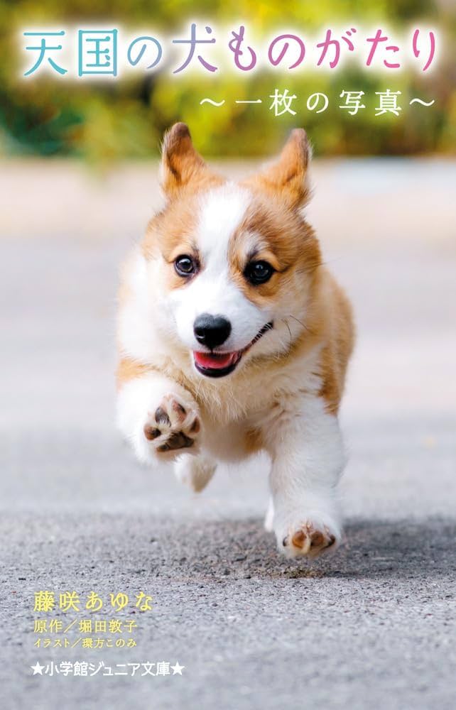 天国の犬ものがたり ~一枚の写真~ (小学館ジュニア文庫 ジほ 1-19